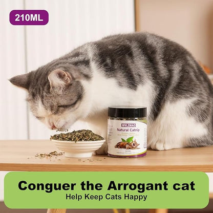 Organic Catnip Cattle Grass 210ml – Natural Mint Flavor Interactive Cat Toy