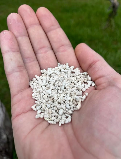 LitChicks’ Calcified Seaweed for Laying Chickens - Crushed Oyster Shell Alternative - Highly Digestible - Single Ingredient - Helps with Egg Laying & Flock Health.
