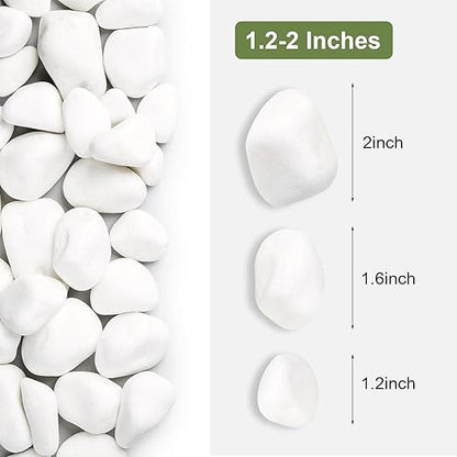 SIDONG 10 lbs White River Rocks, 1.2-2 Inches Matte Pebbles for Indoor Plants, Aquarium Rocks Used in Fish Tank, Decorative Stones for Plants, Vases, Home Décor, Crafting, Garden Landscaping
