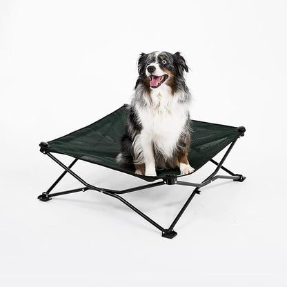 Coolaroo On-The-Go Elevated Dog Bed - Foldable Pop-Up Travel Dog Bed with Breathable, Moisture-Resistant Fabric, Carry Bag Included, Lightweight & Portable, Brunswick Green, Medium