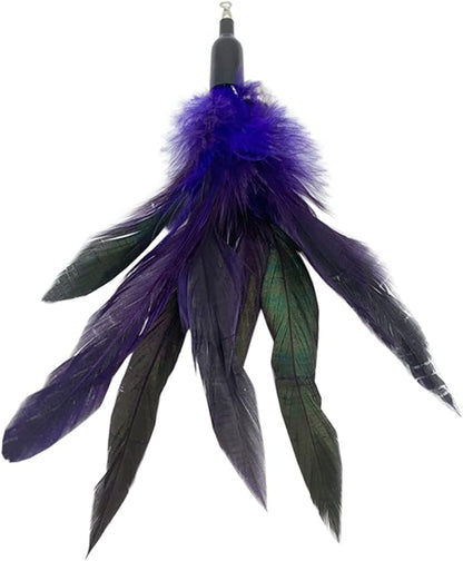 Cat Feather Toys Refills, 10 Pieces Interaction Cat Wand Replacement Feathers Toy for Indoor Cats