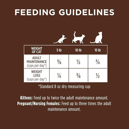 Original Salmon Dry Cat Food, 4.5 lb. Bag