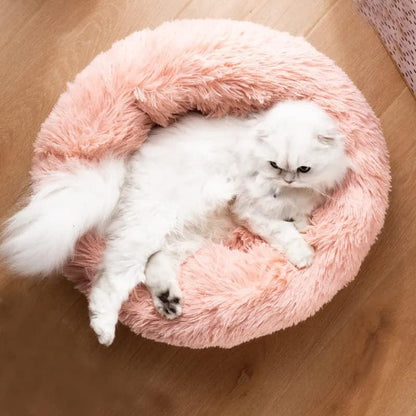 Cat Beds for Indoor Cats