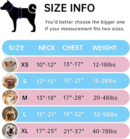 IVY&LANE No Pull Dog Harness with Leash Set, Reflective No Choke Pet Vest,Adjustable Oxford Dog Vest Harness with Easy Control Handle for Small Dogs (Checkered Blue,S)