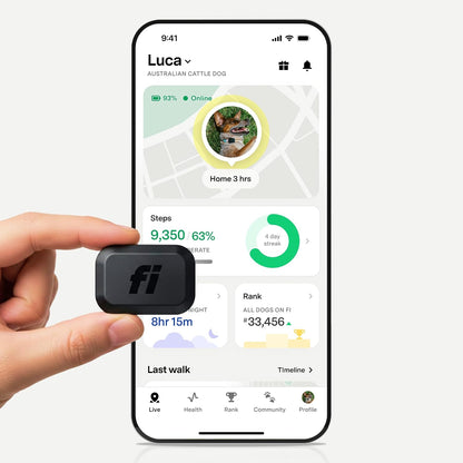Fi Mini GPS Cat Tracker – Escape Alerts & Activity Tracking