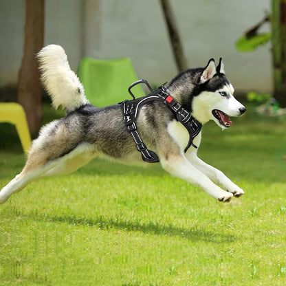 PoyPet No Pull Dog Harness, No Choke Front Clip Reflective Dog Vest with Soft Padded Vertical Handle, 3 Leash Attachments for Small Medium Large Dogs (Black,L)
