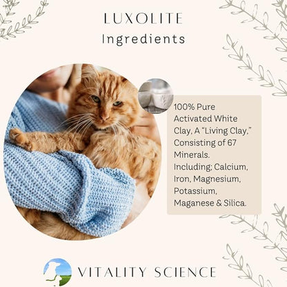 Gastro Prime Combo for Cats | Supports Normal GI Function and Improves Nutrient Assimilation, Liver (Tuna)