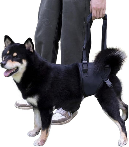 Dog Lift Harness for Dogs with Disabled Arthritis and Weak Back Legs, humanized Design with Comfortable Materials, Adjustable Back Legs and Straps, Suitable for Helping Dogs to Recover and Walk. (S)