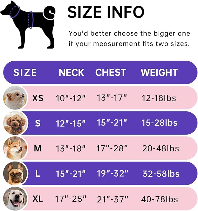 IVY&LANE No Pull Dog Harness for Large Dogs, Reflective Dog Vest Harness with Leash, Safety Belt and Storage Strap, Fully Adjustable Harness with Soft Handle (Pink, L)