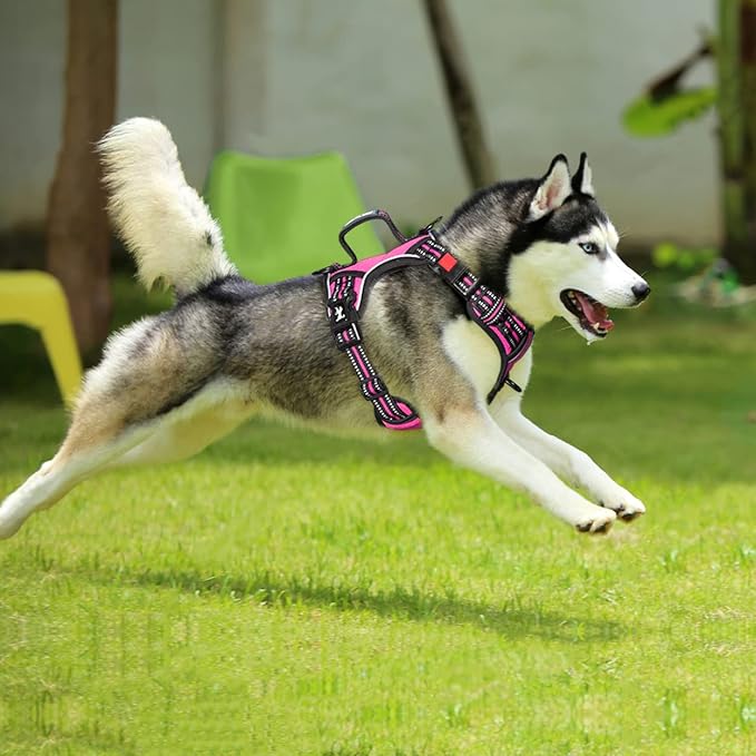PoyPet No Pull Dog Harness, No Choke Front Clip Reflective Dog Vest with Soft Padded Vertical Handle, 3 Leash Attachments for Small Medium Large Dogs (Pink,M)
