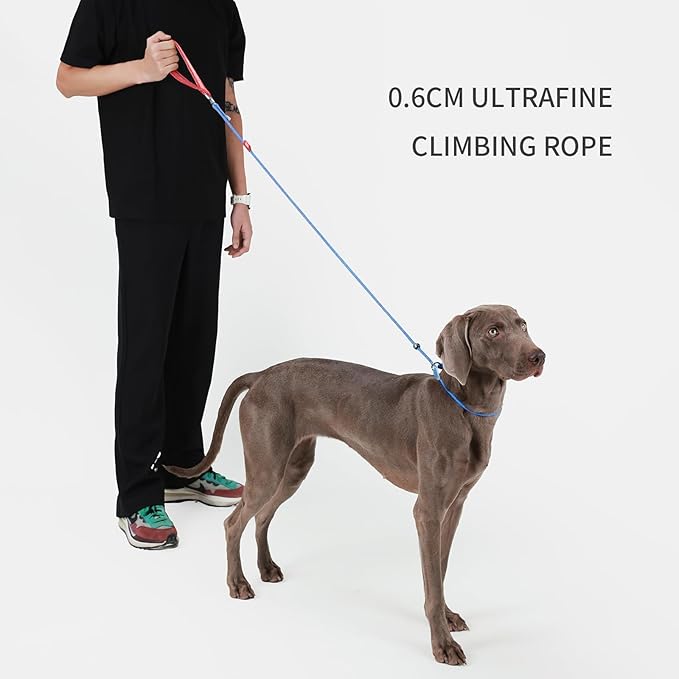 Dog Anti-Slip Leash 5FT with Metal Stopper - Durable No-Pull Training Lead for Small, Medium & Large Dogs - Comfortable Handle Nylon Rope, Tangle-Free Pet Walking Leash (Blue, 5.6FT)