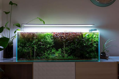 Java Fern Live Aquarium Plants - Potted Freshwater Plant for Fish Tanks - Beginner Friendly, Low Light (Windelov, 5 Pots)