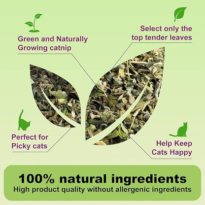 Organic Catnip Cattle Grass 210ml – Natural Mint Flavor Interactive Cat Toy