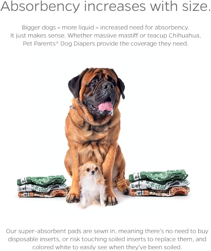 Pet Parents® Washable Dog Diapers (3pack) + Extendrs® of Durable Doggie Diapers, Premium Dog Diapers Female (Small, Daisy)