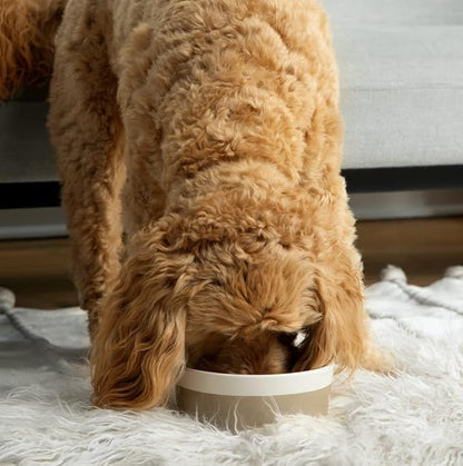 Waggo Dipper Ceramic Dog Bowl Heavyweight Durable Dog Food and Water Dish (Large, Teracotta)