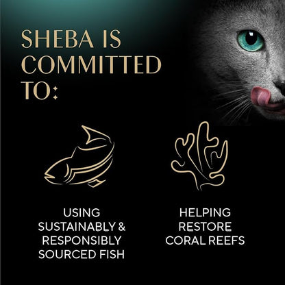 Sheba Perfect Portions Wet Cat Food Pate Savory Chicken Entree and with Sustainable Salmon Variety Pack, 2.6 oz. Twin-Pack Trays (6 Count, 12 Servings) (Pack of 2)