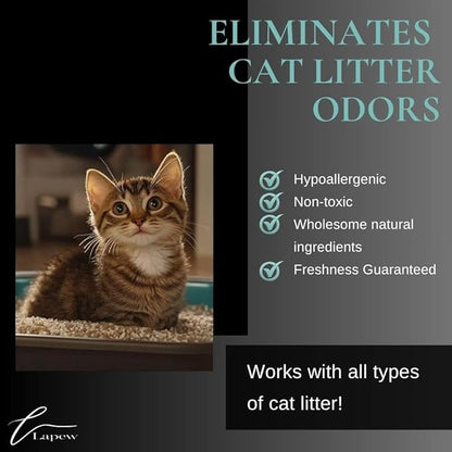 Cardigan Weather Carpet Freshener Powder Refill 36 oz | Powerful Odor Eliminator for Home | Upholstery Deodorizer | Carpet Deodorizer | Pet Urine | Cat Litter Box