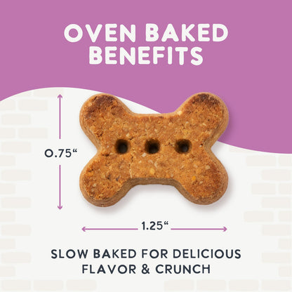 Oven Baked Salmon Treats