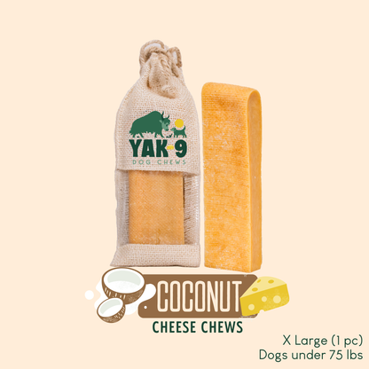 Coconut Cheese Chews for Dogs