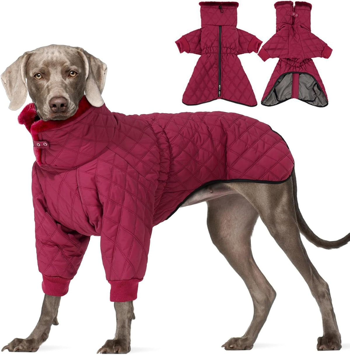 Waterproof Fleece-Lined Dog Snow Jacket with High Collar – S–3XL