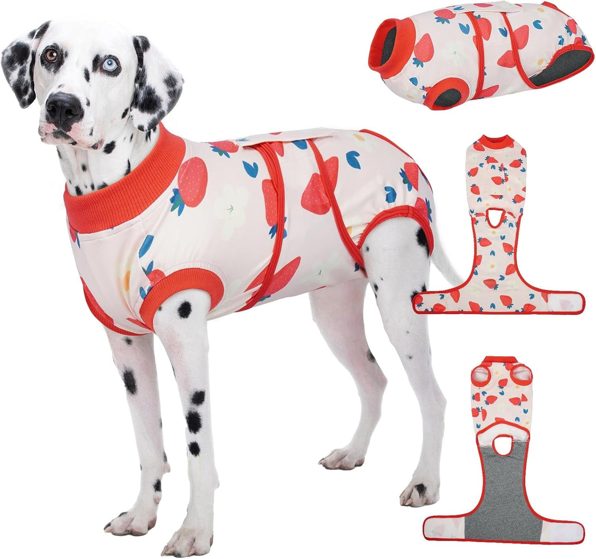 Female Dog Recovery Suit After Spay, XS–2XL
