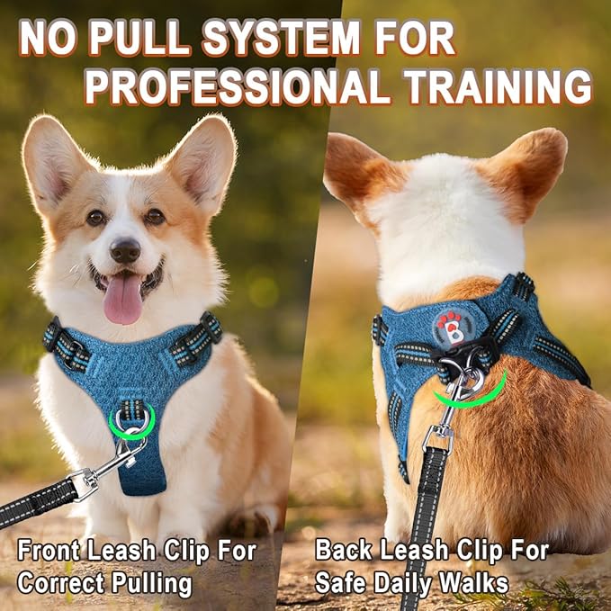 BARKBAY Dog Harness, Reflective Adjustable Step-in Vest Harness, Blue/Black, XXS