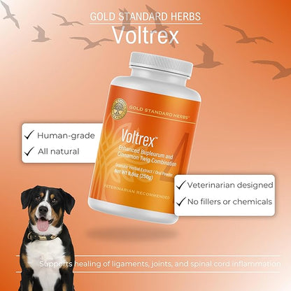 Voltrex Ligament and Spinal Cord Inflammation Relief for Dogs by Gold Standard Herbs, All Natural Bupleurum and Cinnamon Twig Powder, 250 Grams