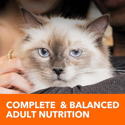 IAMS Proactive Health Indoor Weight Control & Hairball Care Adult Dry Cat Food, Chicken & Turkey Recipe, 16 lb. Bag