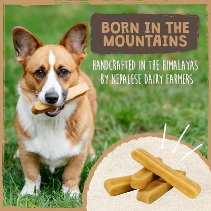 Mighty Paw Yak Cheese Chews for Dogs - All-Natural Long Lasting Pet Treats - Odorless Limited-Ingredient Chews for Puppies & Power-Chewers (Medium, 4 Pack)