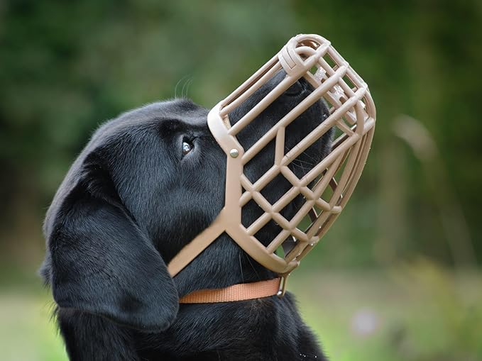 Leather Brothers Italian Basket Dog Muzzle, Adjustable Secure Fit, Comfortable Design, Training and Safety, Averts Biting, Prevents Chewing and Scavenging, Perfect for Grooming - Tan, Size 8