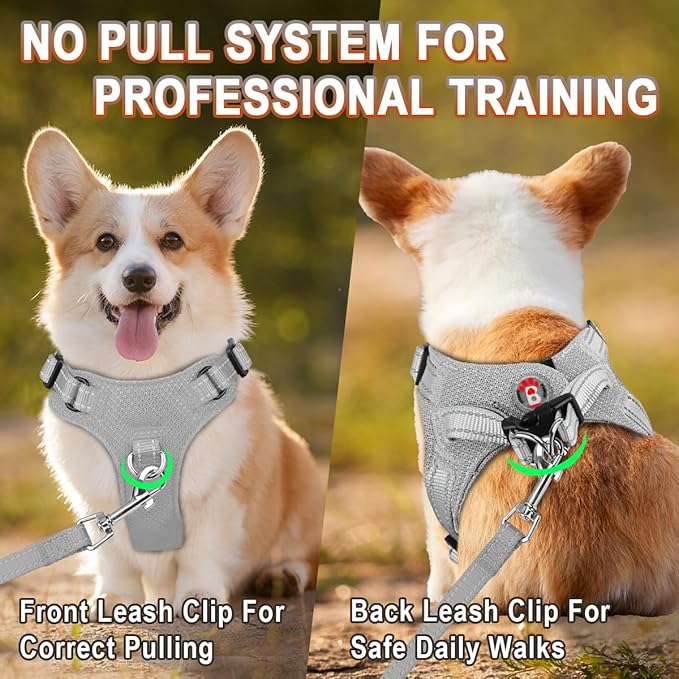 Dog Harness Step in Dog Vest Harness, Reflective Adjustable Puppy No Pull Harness Breathable Soft for Small and Medium Dogs Cats, Grey, S