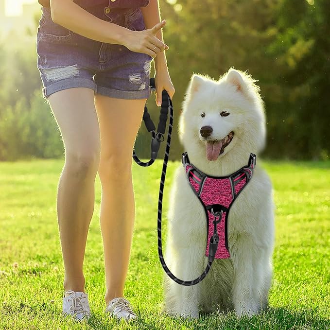 BARKBAY Dog Harness No Pull with ID Tag Pocket - Heavy Duty, Reflective, Easy Control for Large Dogs(Pink/Black,M)