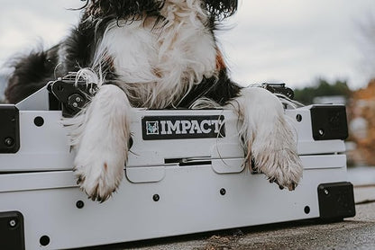 Impact Collapsible Dog Crate - Foldable Hard Crate for Intermediate Dogs - Heavy Duty Travel Kennel with Powder-Coated Aluminum - Quick Setup for Indoor & Outdoor (Gray, 34" (34.5" L x 23" W x 29" H))
