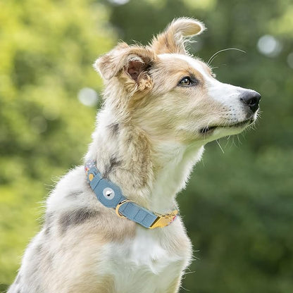 AirTag Dog Collar for Small Medium Large Breed - Adjustable Cute Pattern Dog Collar with Airtag Holder - Soft Leather Tracker GPS Apple Air Tag Pet Collars (Large, 17"-21" Neck Fit, Floral)