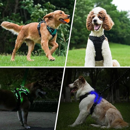 Taglory Light Up Dog Harness, Rechargeable No Pull Dog Vest with 3 Lightning Modes, Reflective Dog Harness with 2 Leash Clips & 4 Adjustable Slide Strips for Large Dogs, Hotpink-Hotpink, L