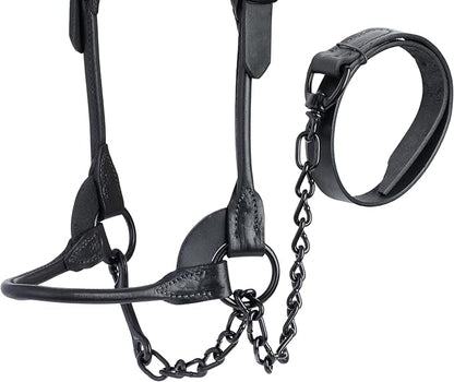 Weaver Livestock Leather Magic Show Cattle Halter, Adjustable, Modern Style Cow Calf Halter, Livestock Handling Equipment for Showing, Black