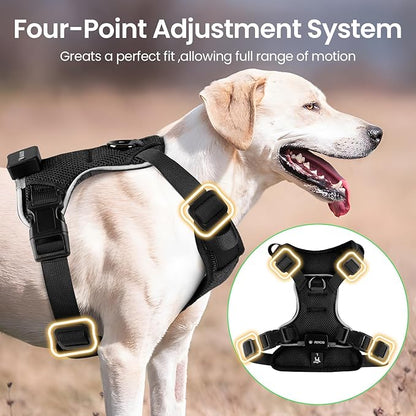 Light Up Dog Harness,No Pull Led Dog Harness Rechargeable, Reflective Lighted Safety Vest for Small Medium Large Dogs,High Visibility,4 Point Adjustable,Breathable Soft Mesh,Black,S