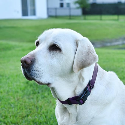 Dogline Biothane Waterproof Dog Collar with Quick Release Buckle Strong Coated Nylon Webbing with Odor- Proof for Easy Care Easy to Clean Fits Small Medium Large Dogs, Purple 5/8" W 9-14" L