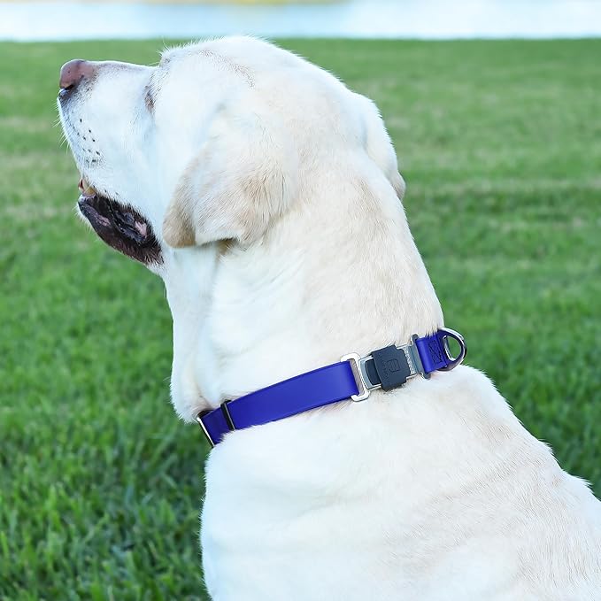Dogline Biothane Waterproof Dog Collar with Herm Sprenger Black Stainless Steel Quick Release Buckle – Heavy Duty Tactical Durable Collar for Dogs – Comfortable and Safe Pet Collar, W 1" L 15-25"
