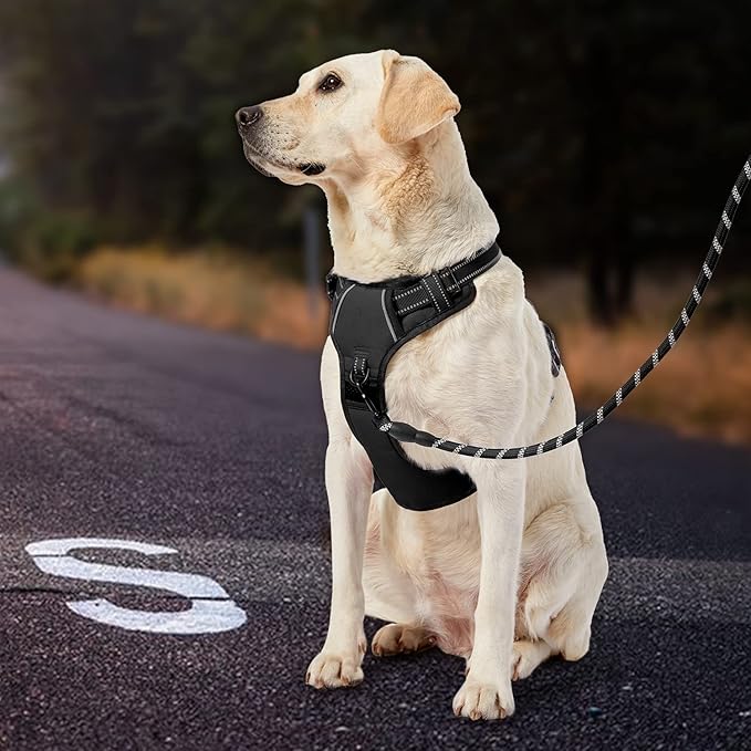 IVY&LANE No Pull Dog Harness for Large Dogs, Dog Vest Harness with Leash, Safety Belt and Storage Strap, Fully Adjustable Harness, 360° Reflective Strip, Soft Handle (Black, XL)