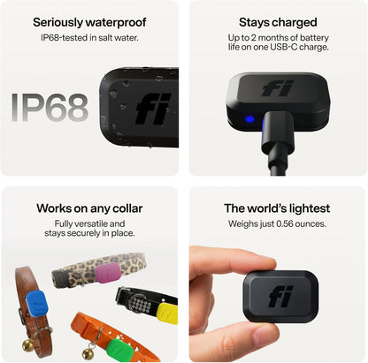 Fi Mini GPS Cat Tracker – Escape Alerts & Activity Tracking