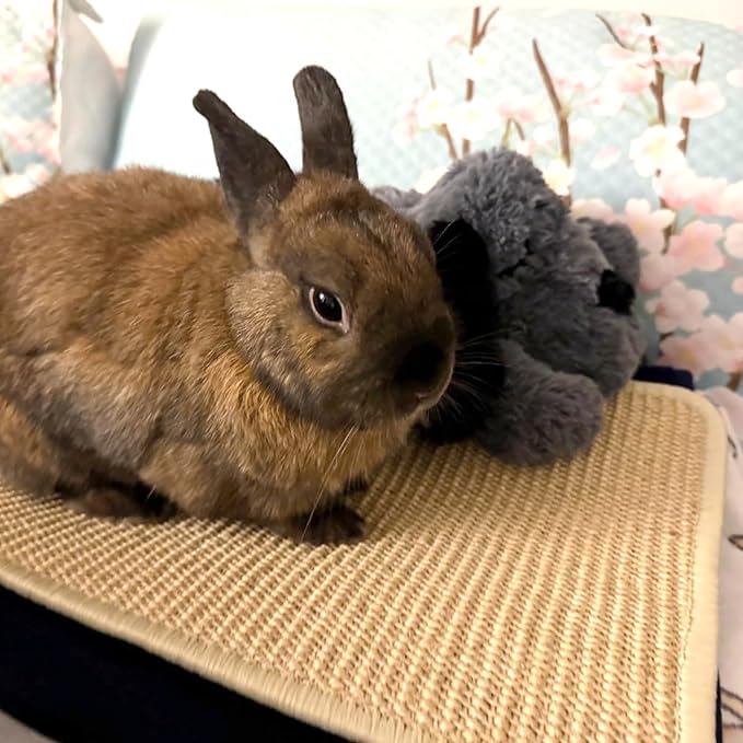 PODOO Bunny Scratch Pads, Sisal Rabbit Scratching Pad, Natural Rabbit Resting Mats for Cages, Forage Grass Mat Indoor Essentials Accessories for Guinea Pig Cat (4Pcs, 23.6 x 15.7 inches)