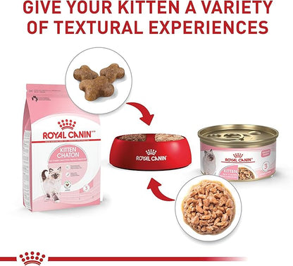 Royal Canin Feline Health Nutrition Kitten Thin Slices in Gravy Canned Cat Food, 3 oz., Count of 24