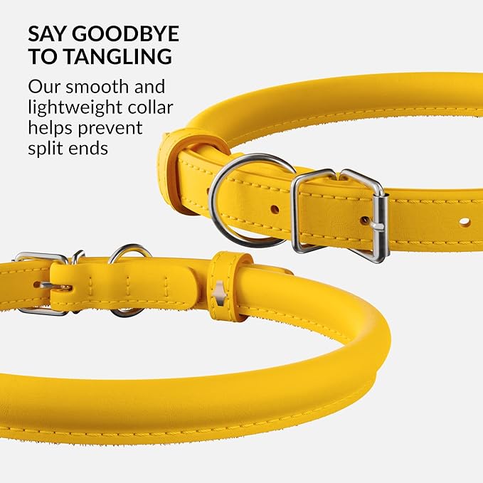 CollarDirect Rolled Leather Dog Collar, Soft Padded Round Puppy Collar, Handmade Genuine Leather Collar Dog Small Large Cat Collars 13 Colors (8-11 Inch, Yellow Smooth)