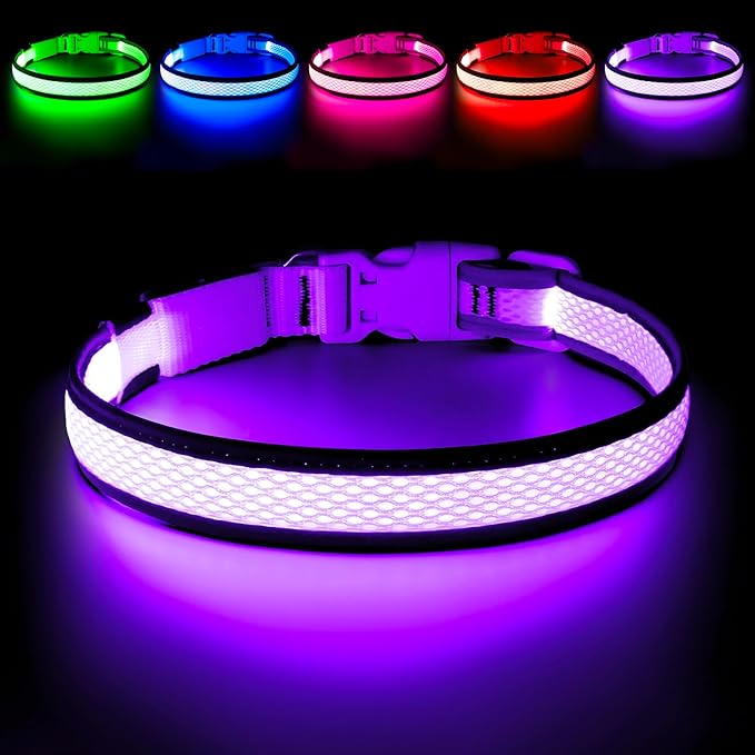 Flashseen LED Dog Collar, Light Up Dog Collar Light USB Rechargeable, Adjustable Comfortable Soft Mesh Safety Collar for Small, Medium, Large Dogs(Large, Purple)