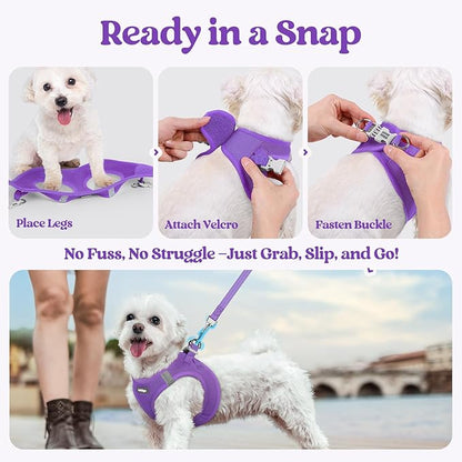 rabbitgoo Dog Harness Small Sized and Leash Set, Step in Soft Light Puppy Vest, Breathable Mesh Pet Harness, Reflective for Safe Outdoor Walking, Purple M