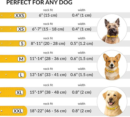 CollarDirect Rolled Leather Dog Collar, Soft Padded Round Puppy Collar, Handmade Genuine Leather Collar Dog Small Large Cat Collars 13 Colors (8-11 Inch, Yellow Smooth)