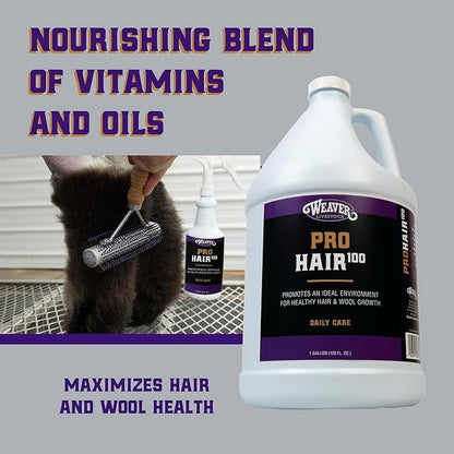 Weaver Leather Livestock Winner's Brand Pro Hair100 Shampoo, 1 Gallon