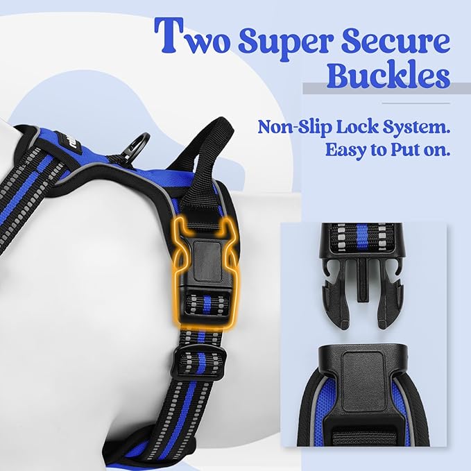 rabbitgoo Dog Harness No Pull with 2 Leash Clips, Adjustable Soft Padded, Reflective Oxford No Choke Pet Vest with Easy Control Handle for Small Dogs, Dazzling Blue, S