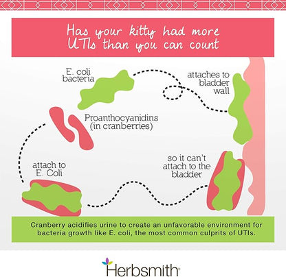 Herbsmith Bladder Care- Bladder Support for Cats- Urinary Tract Cat Supplement – Maintains Kidney Health for Cats– 75g